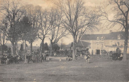 CPA 53 LASSAY / LE CHAMP DE FOIRE - Lassay Les Chateaux