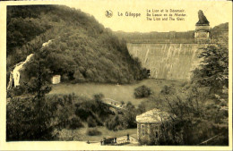 Belgique - Liège -  Gileppe (Barrage) - Le Lion Et Le Déversoir - Gileppe (Stuwdam)