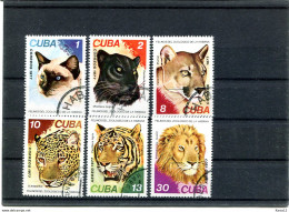 A51189)Katzen: Kuba 2257 - 2262 Gest. - Altri & Non Classificati