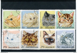 A51204)Katzen: Ungarn 2387 - 2394 A Gest. - Andere & Zonder Classificatie