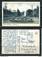 K13741)Ansichtskarte: Bad Salzuflen, Kurpark, Gelaufen 1950 - Bad Salzuflen