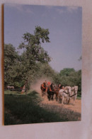 Cpm, Juvigny Sous Andaine, La Michaudière, Ferme Du Cheval De Trait, Orne 61 - Juvigny Sous Andaine