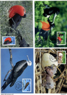 A41613)WWF-Maximumkarte Vogel: Antigua 2096 - 2099 - Maximumkaarten
