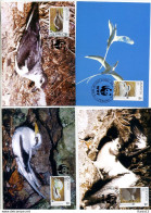 A41626)WWF-Maximumkarte Vogel: Bermuda 785 - 788 - Maximumkarten