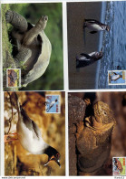 A41638)WWF-Maximumkarte Vogel: Ecuador 2207 - 2209 + 2212 - Cartes-maximum