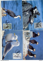 A41648)WWF-Maximumkarte Vogel: Man 408 - 411 - Maximum Cards