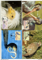 A41650)WWF-Maximumkarte Vogel: Gibraltar 619 - 622 - Maximum Cards