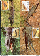 A51344)WWF-Maximumkarten Reptilien: Kongo 1063 - 1066 - Cartes-maximum