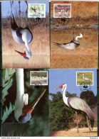 A51349)WWF-Maximumkarten Vogel: Malawi 477 - 480 - Maximum Cards