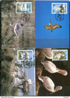 A51351)WWF-Maximumkarten Vogel: Rumaenien 4104 - 4107 - Cartoline Maximum