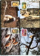 A51355)WWF-Maximumkarten Saeugetiere: Bhutan 840 - 843 - Cartoline Maximum