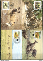 A51360)WWF-Maximumkarten Saeugetiere: Guinea 1194 - 1197 A - Maximumkaarten