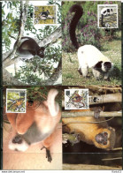 A51367)WWF-Maximumkarten Saeugetiere: Madagaskar 1110 - 1113 A - Maximumkarten