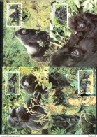 A51371)WWF-Maximumkarten Saeugetiere: Ruanda 1292 - 1295 - Tarjetas – Máxima