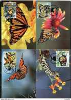 A51549)WWF-Maximumkarten Schmetterlinge: Mexiko 2095 - 2098 - Cartes-maximum