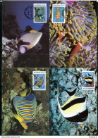 A51556)WWF-Maximumkarten Fische: Malediven 1198 - 1201 - Cartoline Maximum