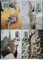 A51563)WWF-Maximumkarten Reptilien: Kap Verde 500 - 503 - Maximumkaarten