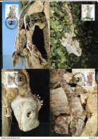 A51566)WWF-Maximumkarten Reptilien: Neuseeland 1160 - 1163 - Cartoline Maximum