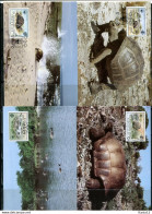 A51567)WWF-Maximumkarten Reptilien: Aeus. Seychellen 104 - 107 - Maximumkarten