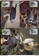 A51582)WWF-Maximumkarten Vogel: Guyana 3077 - 3080 - Maximumkarten