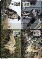 A51583)WWF-Maximumkarten Vogel: Island 776 - 779 - Maximumkaarten