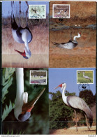 A51590)WWF-Maximumkarten Vogel: Malawi 477 - 480 - Cartoline Maximum