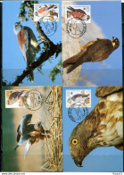 A51591)WWF-Maximumkarten Vogel: Malta 864 - 867 - Cartoline Maximum