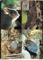 A51594)WWF-Maximumkarten Vogel: Niuafou ` Ou 233 - 236 - Cartoline Maximum