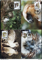 A51598)WWF-Maximumkarten Vogel: Philippinen 2038 - 2041 - Maximum Cards