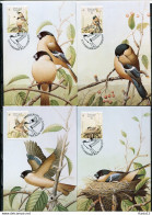 A51599)WWF-Maximumkarten Vogel: Azoren 405 - 408 - Cartes-maximum