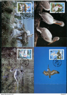 A51601)WWF-Maximumkarten Vogel: Rumaenien 4104 - 4107 - Cartoline Maximum