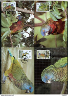 A51602)WWF-Maximumkarten Vogel: St. Lucia 909 - 912 - Cartoline Maximum