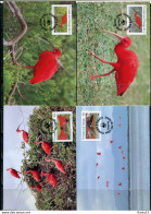 A51605)WWF-Maximumkarten Vogel: Trinidad + Tobago 596 - 599 - Cartoline Maximum