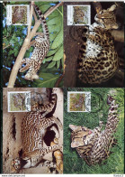 A51624)WWF-Maximumkarten Saeugetiere: El Salvador 1734 - 1737 - Maximumkaarten