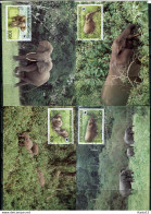 A51626)WWF-Maximumkarten Saeugetiere: Gabun 1009 - 1012 - Cartoline Maximum