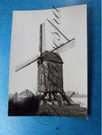 Liesele Langemark Windmolen - Windmills