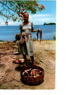 TRINITE - TROIS RIVIERE - Martinique - 2 CARTES -pêcheurs -1966 - A1 - La Trinite