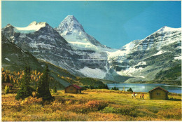 MOUNT ASSINIBOINE, CANADIAN ROCKIES, MOUNTAIN, ARCHITECTURE, HORSE, CANADA - Autres & Non Classés