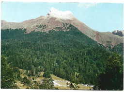 SELVA DE OZA, CAMPAMENTO RAMIRO EL MONJE. AL FONDO EL CASTILLO DE ACHER.- HECHO / HUESCA / ALTO ARAGON.- ( ESPAÑA ) - Huesca