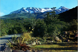 9-12-2023 (1 W 41) New Zealand - Mt Ruapehu - Nouvelle-Zélande