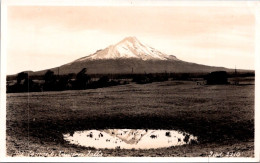 9-12-2023 (1 W 41) New Zealand - B/w - (near New Plymouth) Mt Egmont - Nouvelle-Zélande