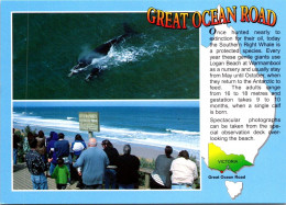 9-12-2023 (1 W 44)  Australia - VIC - Great Ocean Road - Otros & Sin Clasificación