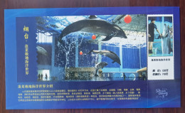 Dolphin,China 2011 Shandong Yantai Tourism Penglai Polar Ocean World Advertising Pre-stamped Card - Dolphins