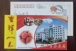 Myrica Rubra Fruit Tree,fruit Wine,China 2007 Xiajiang Forest Bureau Advertising Pre-stamped Card - Vins & Alcools