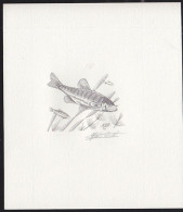 BELGIUM(1990) Eurasian Minnow (Phoxinus Phoxinus). Die Proof In Black Signed By The Engraver. Scott No 1384. - Probe- Und Nachdrucke