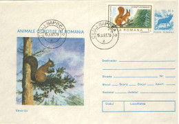 520  Écureuil: PAP + Timbre Roumanie -  Squirrel: Postal Stationery Cover From Romania - Rodents