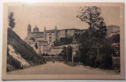 MARCHE PESARO URBINO TRA IL VERDE INTENSO, SFOLGORANO, AL TRAMONTO, I MATTONI DELLA REGGIA DEI MONTEFELTRO  Formato Picc - Urbino