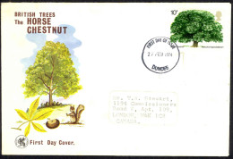 Great Britain Sc# 715 FDC 1974 2.27 Horse Chestnut - 1971-1980 Decimal Issues