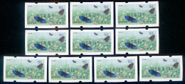 2023 Taiwan - ATM Frama -Purple Crow Butterfly  #91 Black Imprint ($1~$10) - Viñetas De Franqueo [ATM]