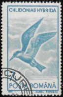 Romania 1991 Used Stamp Bird Chlidonias Hybridus 7L [WLT1637] - Usati